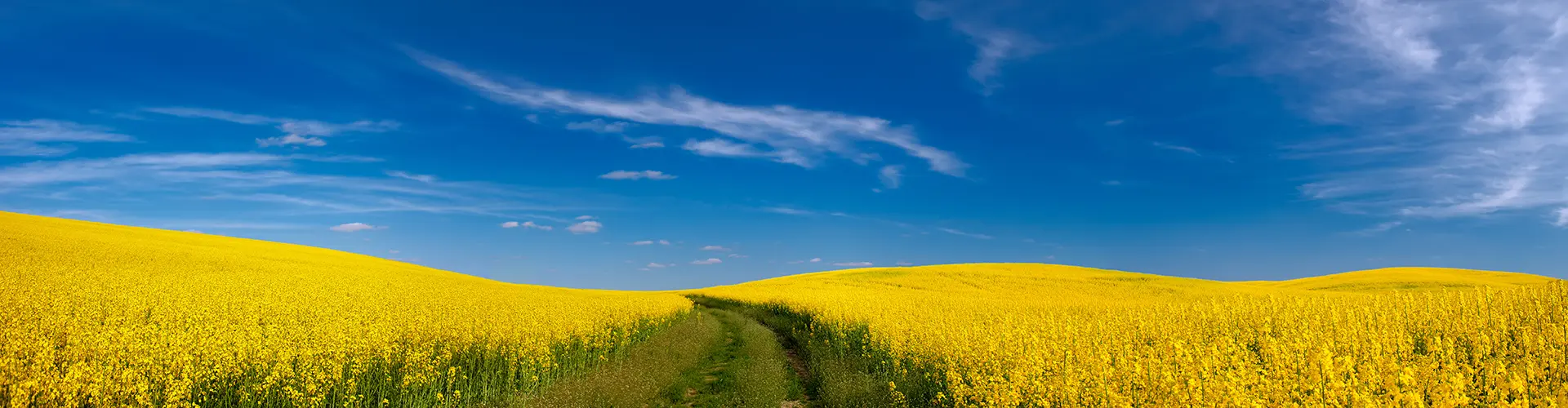 TravelSecure® Service - Reisewarnung und Einreisebestimmungen Ukraine