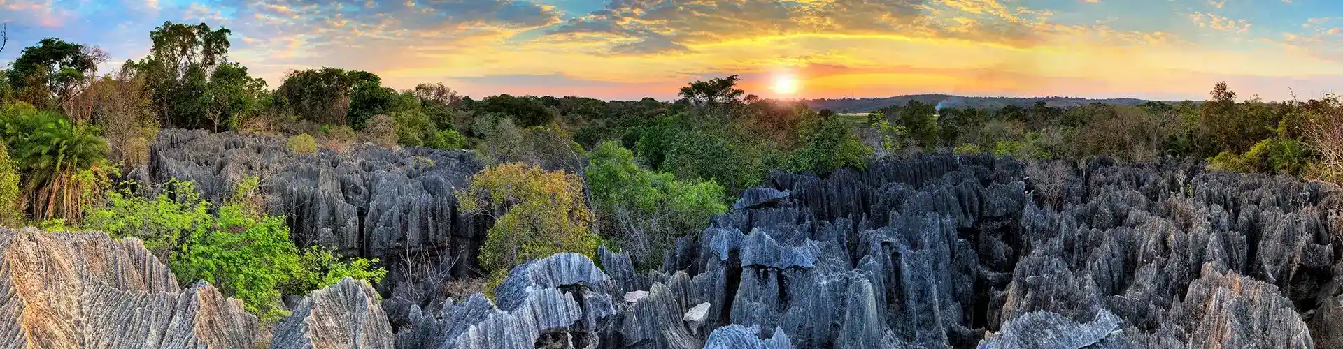 TravelSecure® Service - Reisewarnung und Einreisebestimmungen Madagaskar