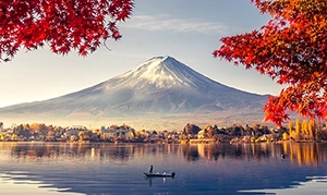 Grafik Reisewarnung und Einreisebestimmung Japan