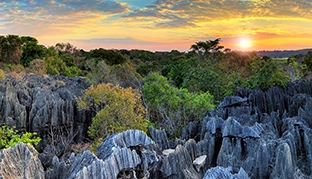 Grafik reisewarnung und einreisebestimmung Madagaskar