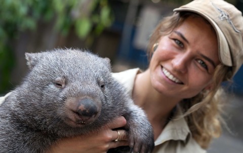 Wombat Work & Travel in Australien