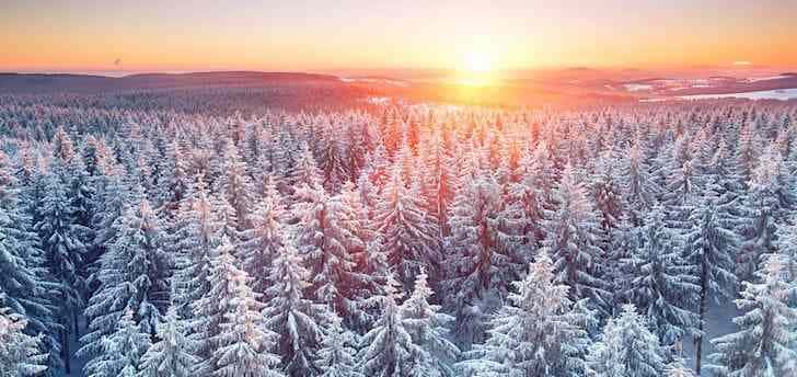 Wo wandern in Deutschland: Thüringer Wald