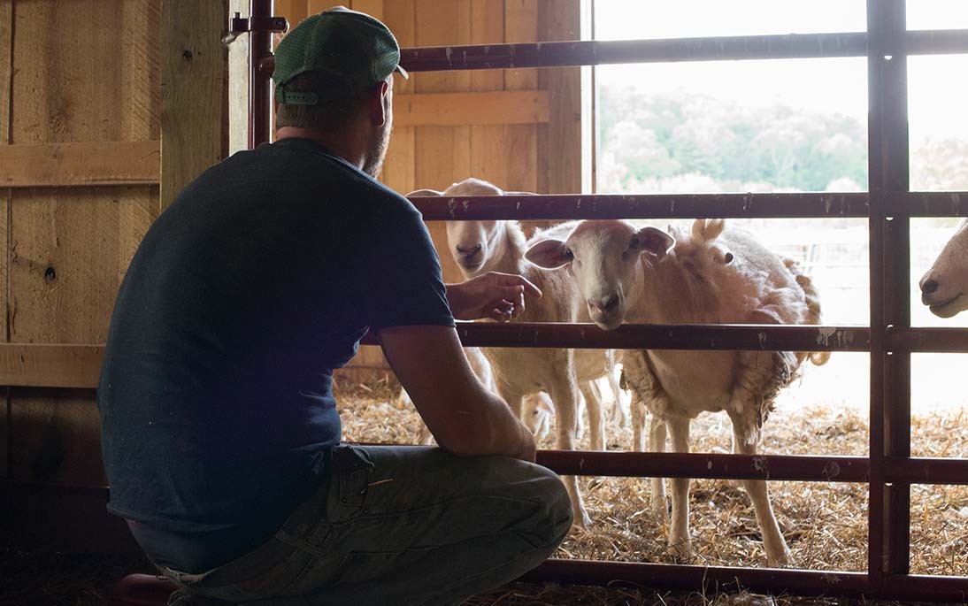 Travelsecure Farmstay