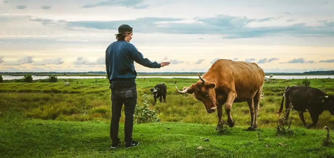 Header Tierische Begegnungen beim Wandern