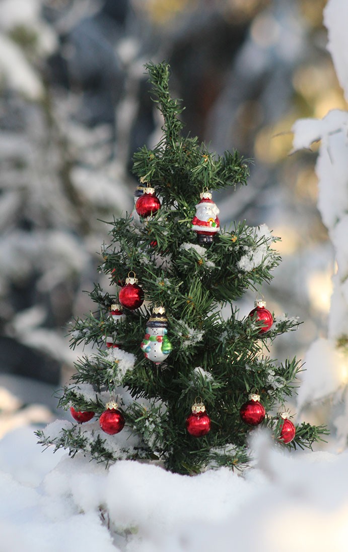 Das Weihnachtsmarkt-Feeling