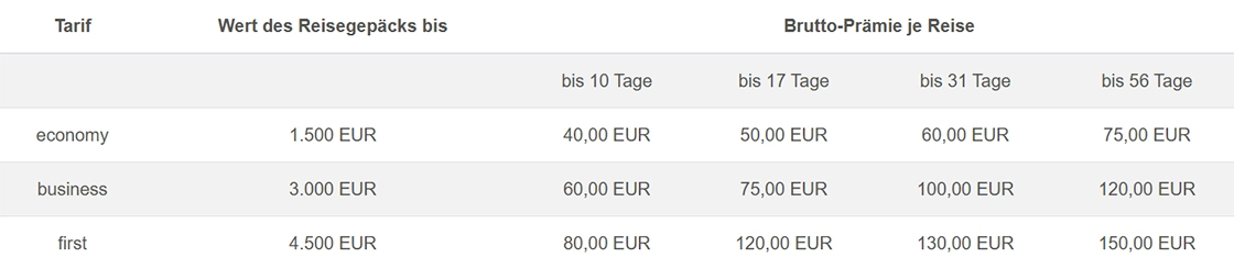 Reisegepäck­versicherung im Überblick