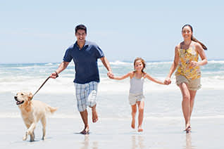 Reiserücktritt mit Haustieren